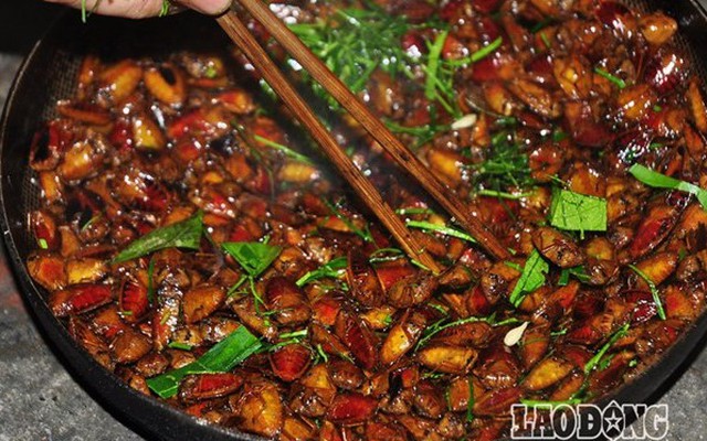 Món ăn "bất hủ" của người Việt từ loài côn trùng rất hôi hám