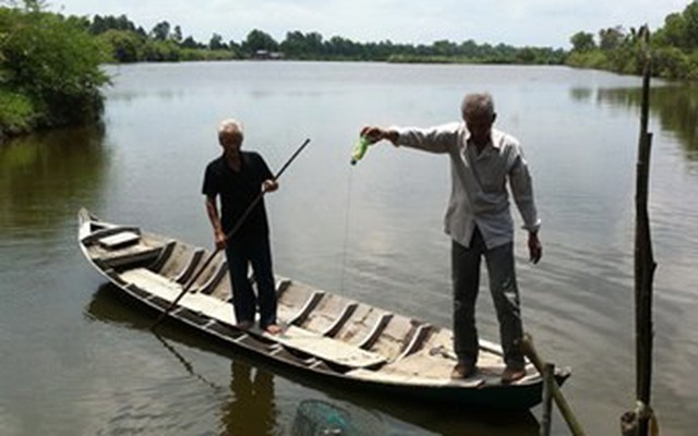 Mỏ vàng ở cánh đồng chó ngáp - Bạc Liêu