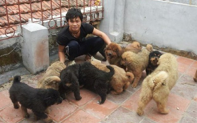 Gặp chàng thạc sỹ 8X sở hữu trại chó bạc tỷ ở Việt Nam