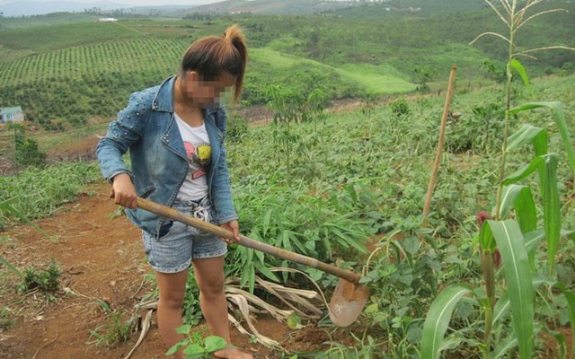 Rơi vào "động quỷ" vì tin lương rửa bát 30 triệu đồng