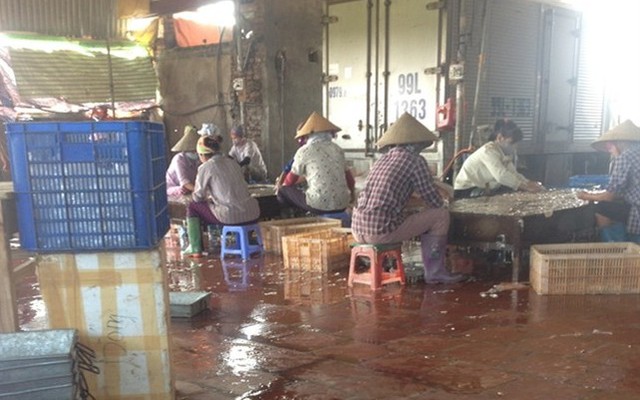 Nôn thốc trong lò luyện nội tạng lợn ở Bắc Ninh