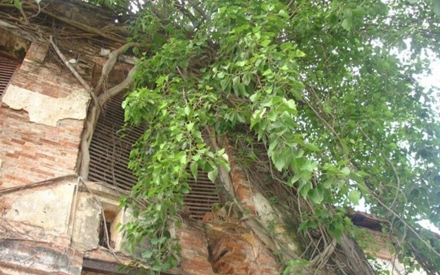 Ngôi thành cổ độc nhất còn sót lại ở Nam Bộ đang mục nát