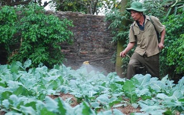 Lão nông dân “gàn” uống thuốc trừ sâu… không chết