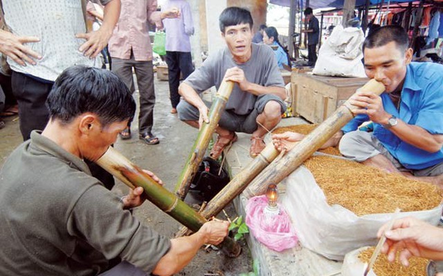 Hút thuốc lào như uống thuốc trừ sâu