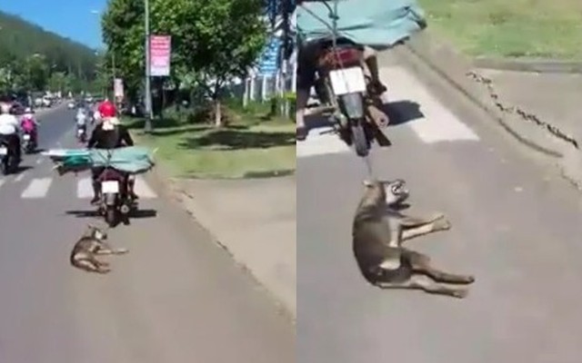 Xôn xao clip chú chó bị buộc dây vào cổ rồi kéo lê giữa đường