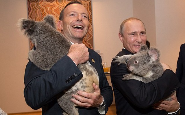 Nga lo sợ gấu koala Tổng thống Putin ôm bị Australia "làm thịt"