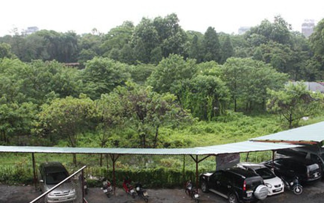 Hà Nội quyết xây bãi xe 10.000 m2 trong Công viên Thống Nhất