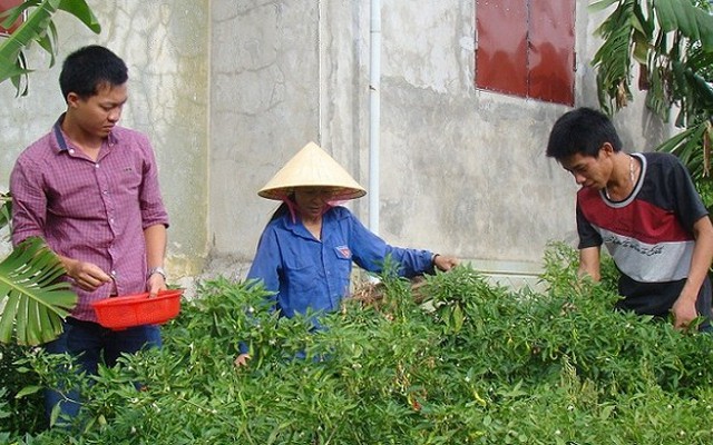 'Tết này, con sẽ thả hoa ở Trường Sa cho bố'