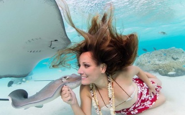 Kinh ngạc cảnh người mẫu mặc áo tắm chơi đùa cùng “sát thủ” cá đuối