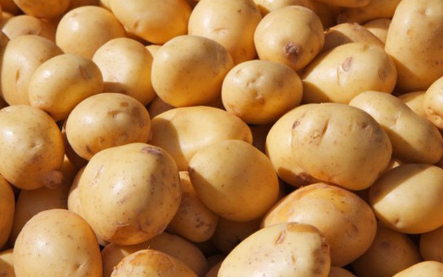 Cảnh báo: 2 đối tượng tuyệt đối không được ăn khoai tây