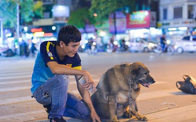 Clip: Sau một thời gian chăm chỉ đi bộ, chú chó béo nhất Hà Nội đã giảm được 10kg