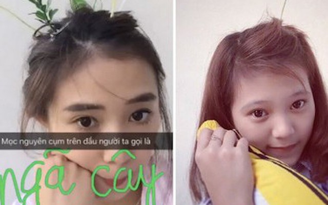 Giới trẻ Việt Nam mê mẩn trào lưu "trồng cây trên đầu, tự tin xuống phố"