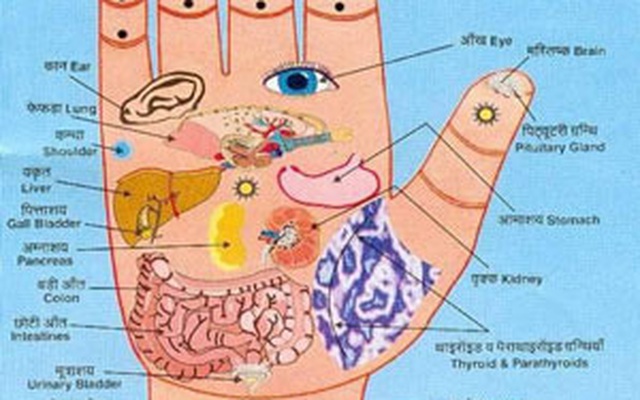 Mỗi ngày, bỏ ra 10 phút tự kiểm tra sức khỏe tim, gan, thận, phổi