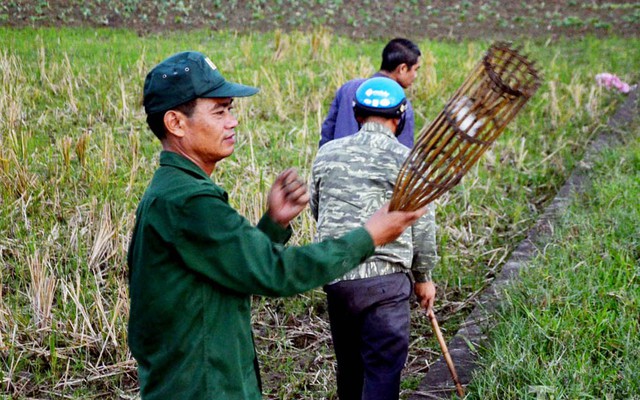 Theo chân thợ săn chuột đồng ở Thủ đô