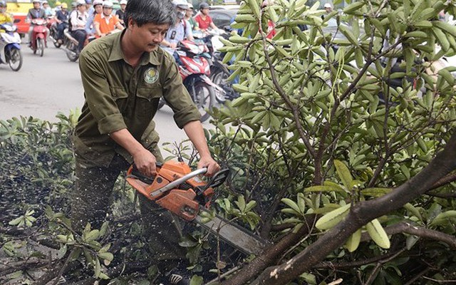 Nhà thơ Nguyễn Trọng Tạo: "Chua xót chưa từng thấy"