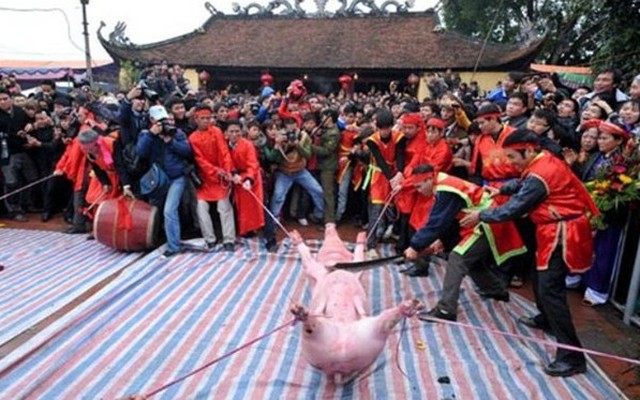 "Ông thủ đao" đầu tiên trong lễ chém lợn ở Bắc Ninh lên tiếng