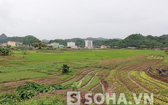 Chủ tịch Sơn La: "Chưa có tượng đài là thiệt thòi cho chúng tôi"