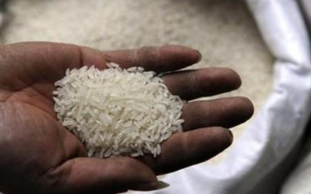Gạo nhựa chưa từng xuất hiện ở Việt Nam