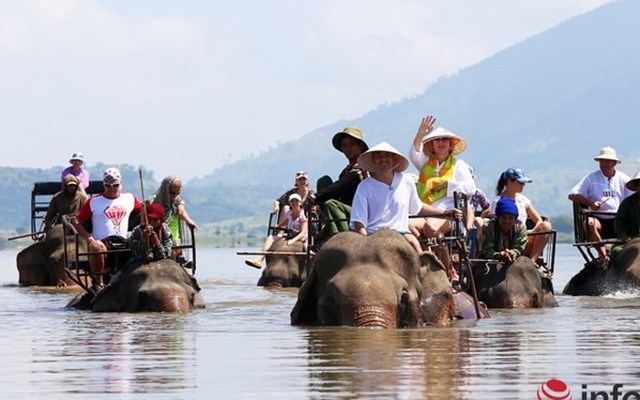 Kinh ngạc cưỡi voi bơi trên hồ Lăk