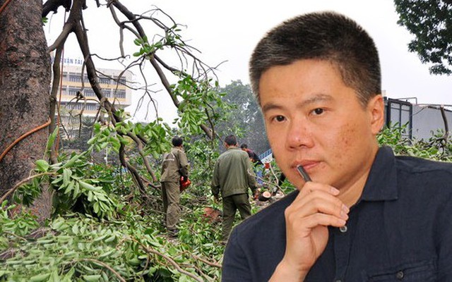 GS Ngô Bảo Châu bất ngờ đặt câu hỏi rất khó về việc chặt cây ở HN