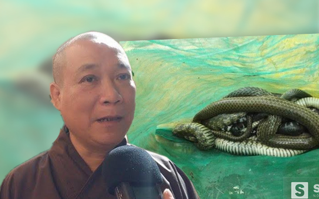 Hòa thượng Thích Bảo Nghiêm nói về việc nhà chùa thả rắn ra đường