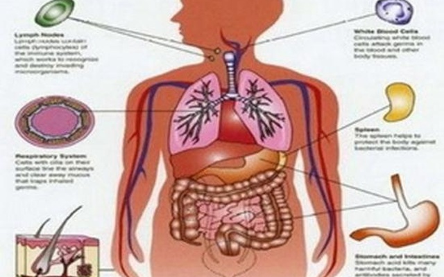 Mỉm cười với tạng phủ: "Phép tiên" phải biết để trường thọ