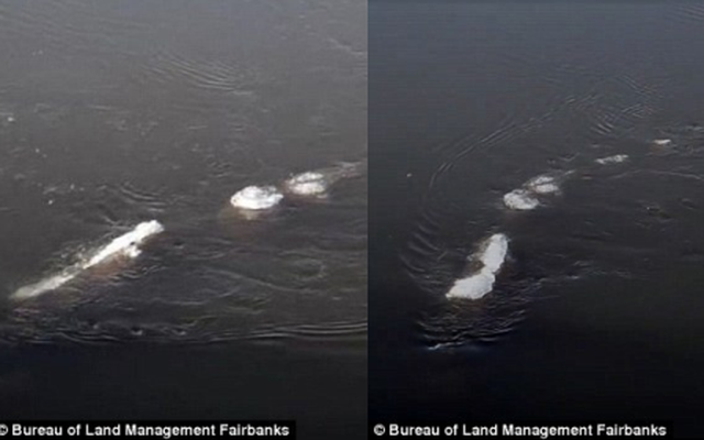 Sửng sốt quái vật Loch Ness xuất hiện ở Mỹ?