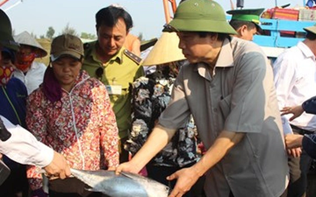 Bí thư Tỉnh ủy Quảng Bình mua cá, dọn rác cùng ngư dân
