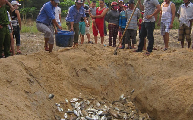 Rong lạ xuất hiện tại biển Thừa Thiên - Huế