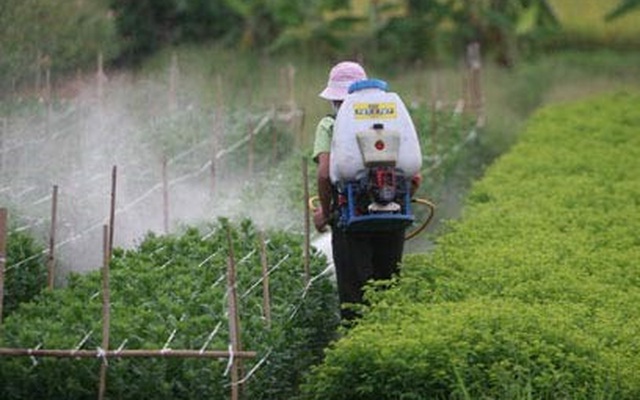 Đến loài “đốt không chết” như đỉa còn tuyệt chủng