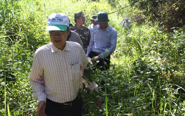 Tạm dừng dự án làm đường trong Vườn quốc gia Cát Tiên