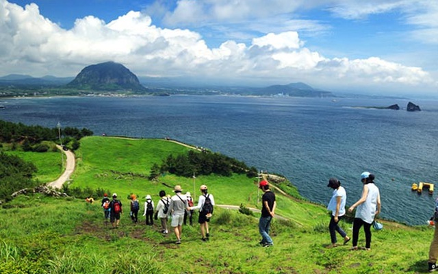 Vụ 59 du khách Việt mất tích tại đảo Jeju: Đủ chiêu trốn làm lao động chui