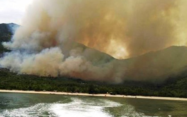 Tan hoang sau đám cháy dữ dội khu vực rừng Nam Hải Vân