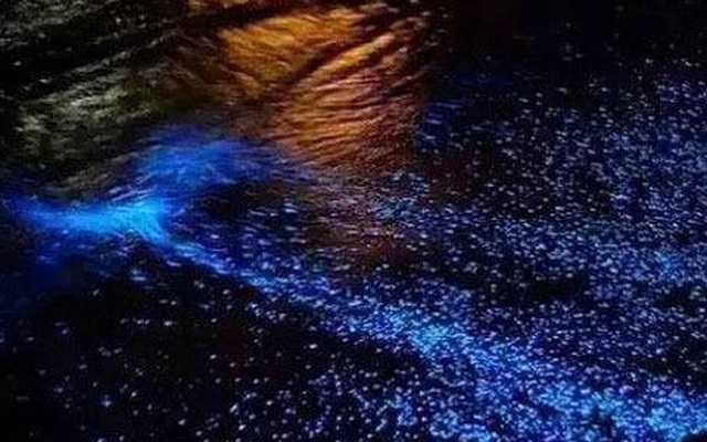 Đẹp lạ lùng hiện tượng nước biển chuyển màu xanh sáng lấp lánh trong đêm