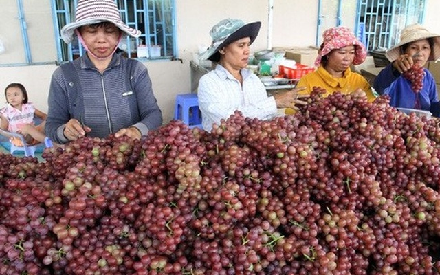 'Nữ hoàng' Ninh Thuận lắm thăng trầm