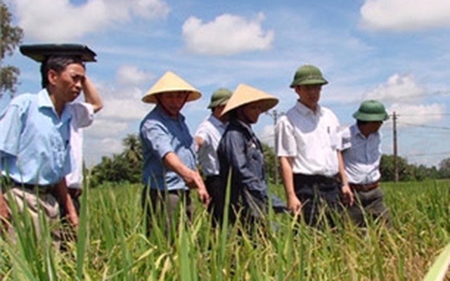 Tỉnh 'lạm phát' cấp phó: Tại thế hệ trước để lại