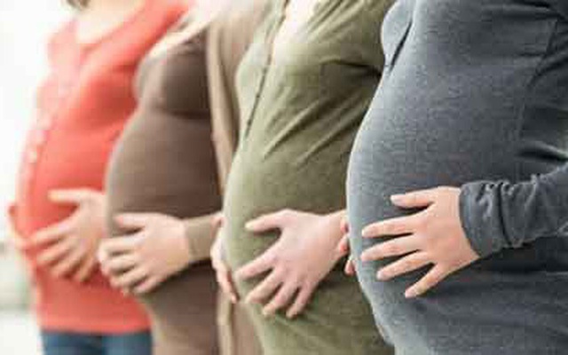Chấn động Hà Lan: Hàng loạt phụ nữ bị bơm nhầm tinh trùng