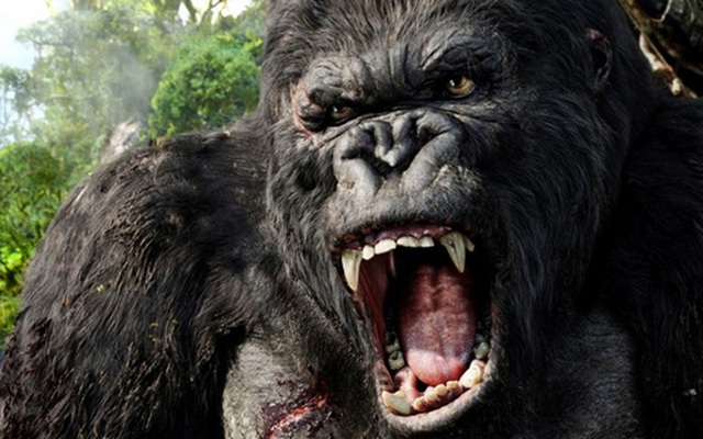 Đi tìm lời giải liệu King Kong có thật hay không?