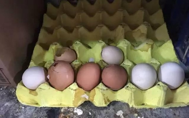 Vợ bán trứng gà, chồng hốt hoảng nhờ cả cảnh sát lùng sục người mua vì lý do "chết người"