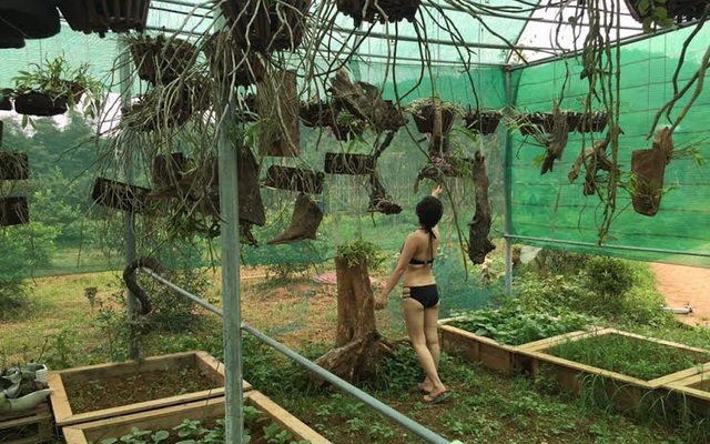 Bộ ảnh “khỏa thân làm vườn” sáng tạo của người Việt