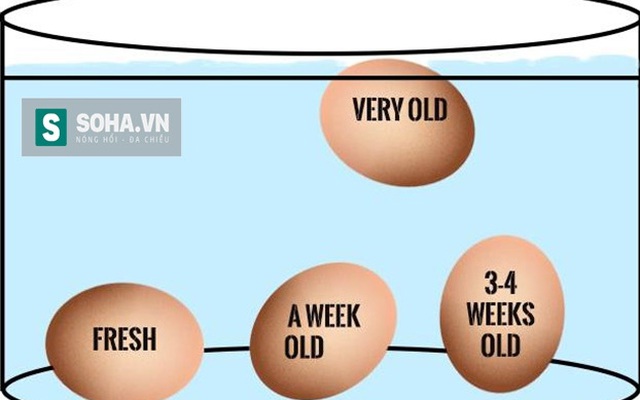 Mẹo đơn giản kiểm tra trứng tươi, trứng ung chỉ trong 1 phút