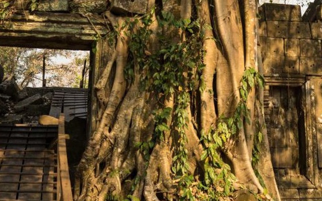 Phát hiện tàn tích thành phố cổ trong rừng sâu ở Campuchia