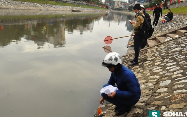 Cá chép vừa thả xuống sông Tô Lịch đã bị bắt lên