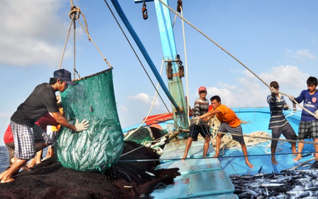Việc cấm đánh bắt cá trên Biển Đông của Trung Quốc là vô giá trị