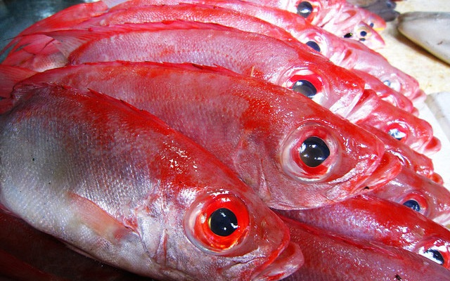 7 loại cá bạn từng mua, có mời chuyên gia cũng không dám ăn