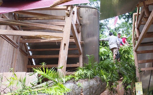 Lào Cai: 5 người thương vong vì mưa, dông lốc