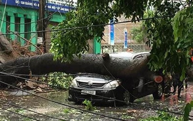 Việt Nam có 7 người chết và mất tích do bão Mirinae
