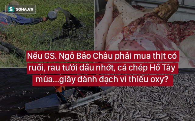 GS Ngô Bảo Châu sẽ không có giải Field nếu phải xài rau tưới dầu nhớt, cá Hồ Tây "thiếu oxy"