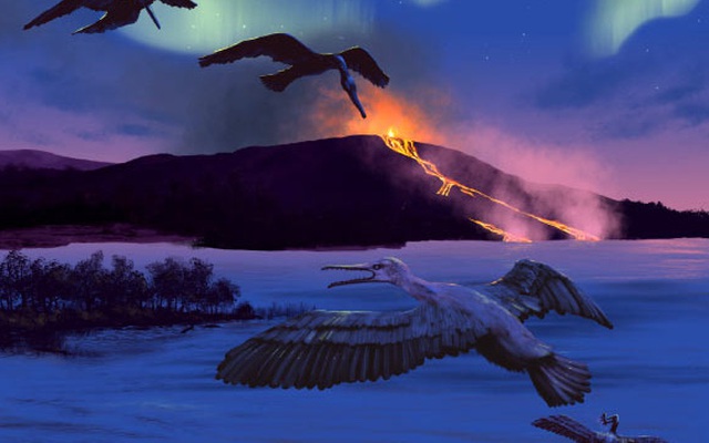 Phát hiện loài chim 90 triệu năm tuổi có thể tiên đoán "vận mệnh" Trái Đất