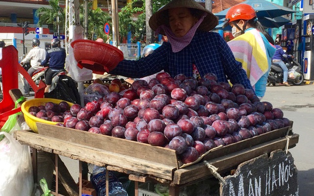 Mận Trung Quốc gắn mác Hà Nội trên đường phố Sài Gòn